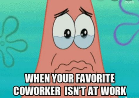 Coworker Best Friend Quotes, Co Worker Memes, Work Funnies, Coworker Quotes, Fuuny Memes, Missing Work, Missing Quotes, Vacation Humor, Work Friends