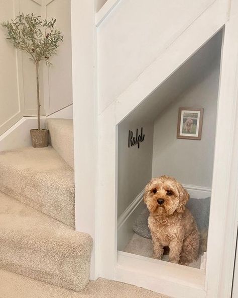 Under Stairs For Dogs, Under Stairs Ideas, Under Stairs Dog House, Deco Cinema, تحت الدرج, Under Stairs Storage, Stairs Renovation, Stairs Storage, Staircase Storage