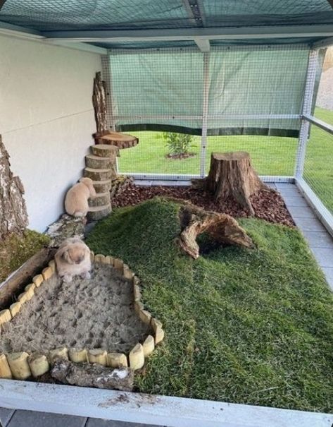 Rabbit Cage Setup, Bunny Sheds, Rabbit Habitat, Pet Bunny Rabbits, Bunny Cages, Backyard Landscaping Plans, Aesthetic Garden, Rabbit Cage, Front Yard Landscaping Plans