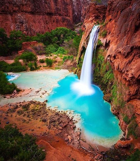 Havusa Falls, Grand Canyon Havasupai Falls Arizona, Havasu Falls Arizona, Havasupai Falls, Best Romantic Getaways, Havasu Falls, Earth Pictures, Destination Voyage, Beautiful Waterfalls, Green Trees