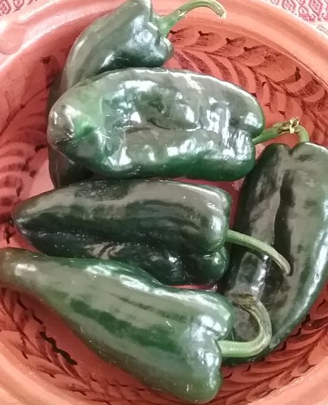 Pepper Steak Recipes, Recipes Peppers, Bell Pepper Stuffed, Peppered Steak, Pepper Garden, Salt Hair, Pepper Steak Recipe, Stuffed Peppers Healthy, Chile Poblano