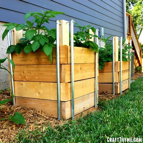 Potato Garden, Potato Planter, Potato Box, Gemüseanbau In Kübeln, Potato Tower, Container Potatoes, Potato Gardening, Potato Planters, Container Vegetables