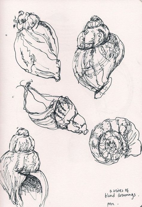 Shell Drawing, Natural Form Art, Art Coquillage, Observational Drawing, Pen Drawings, Posca Art, Contour Drawing, A Level Art, Sketchbook Inspiration