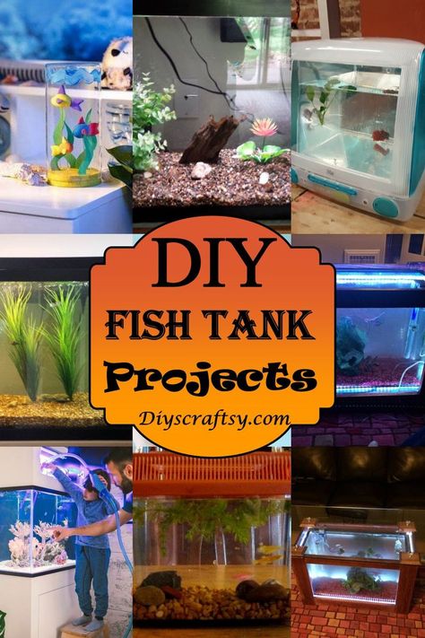 22 DIY Fish Tank Projects You Can Build Free Fish Tank Coffee Table, Fish Tank Ideas, Diy Fish Tank, Cool Fish Tanks, Mini Aquarium, Diy Aquarium, Diy Tank, Fishing For Beginners, Salt Water Fish