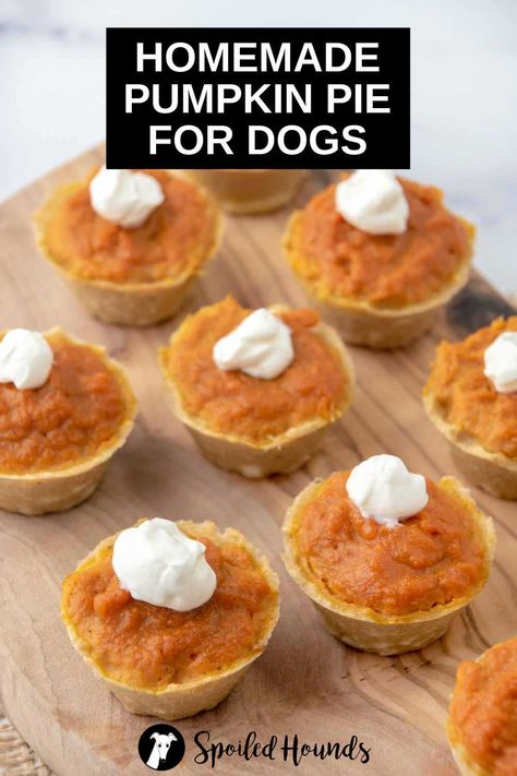 Puppy Dog Treats, Thanksgiving Dog Food Recipe, Halloween Pet Treats, Puppy Pumpkin Treats, Dog Pumpkin Recipes, Homemade Treats For Dogs Recipes, Pet Friendly Desserts, Pie Crust For Dogs, Pumpkin Pie For Dogs Recipes For