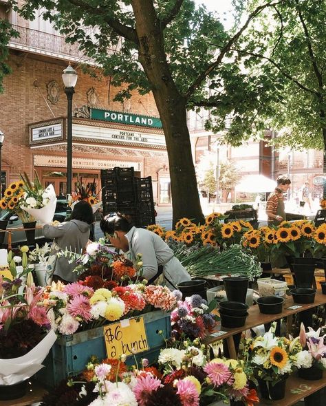 Oregon Aesthetic, Downtown Portland Oregon, Oregon Trip, Travel Oregon, 2024 Moodboard, Oregon Life, Portland Travel, Walking City, Pacific City