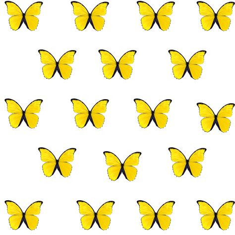 Shop this beautiful stickerpack on Redbubble! @Peony-Designs Yellow Butterfly Sticker, Yellow Butterfly Cake Topper Printable, Yellow Butterfly Printable, Butterfly Printable Template, Butterflies Yellow, Disney Princess Invitations, Photo Cake Topper, Yellow Butterflies, Butterfly Cake Topper