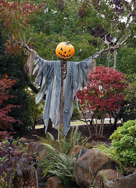 Pumpkin Head Scarecrow Diy, Scarecrow Yard Decorations, Diy Scarecrow Decoration Front Porches, Scarecrow Head Ideas, Mannequin Scarecrow, Halloween Scarecrow Ideas, Porch Scarecrow, Skeleton Scarecrow, Scarecrow Diy