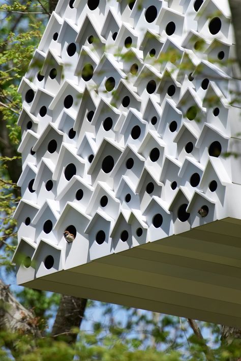 Bird-apartment Bird House Architecture, Bird Architecture, Bird Apartment, Nagano Prefecture, Modern Birdhouses, Collective Housing, Insect Hotel, Tree House Designs, Birdhouse Designs