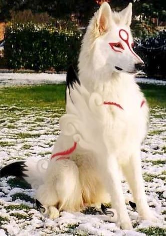 Even Dogs Can Cosplay Mystical Animals, 9gag Funny, Epic Cosplay, Cute Fantasy Creatures, Mythical Creatures Art, Dog Costumes, Halloween 2020, Amazing Cosplay, Grumpy Cat