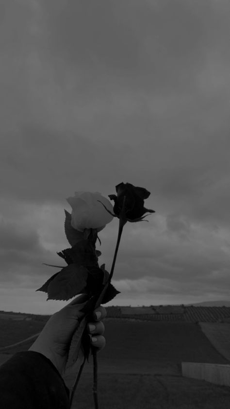 White Roses Aesthetic Dark, White Roses Wallpaper, Mad Photography, Black Roses Wallpaper, Black And White Roses, Black Rose Flower, Aesthetic Roses, Dark Flowers, Black Roses