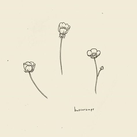 Simple Buttercup Tattoo, Tiny Buttercup Tattoo, Buttercup Flowers Tattoo, Buttercup Illustration Flower, Simple Cute Flower Tattoos, Buttercup Flower Tattoos, Ring Finger Flower Tattoo, Tattoos About Sisters, Buttercup Drawing Flower