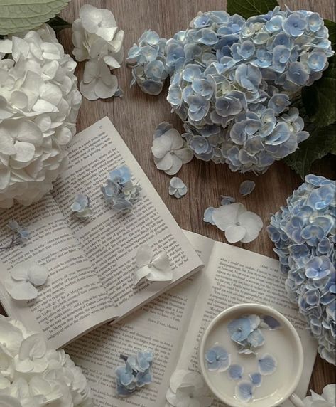 Calmness Aesthetic, Soft Academia Aesthetic, Blue Cottagecore, Magnolia Colors, Blue Cookies, Antique Aesthetic, Piece Of Advice, Light Blue Aesthetic, Blue Aesthetic Pastel