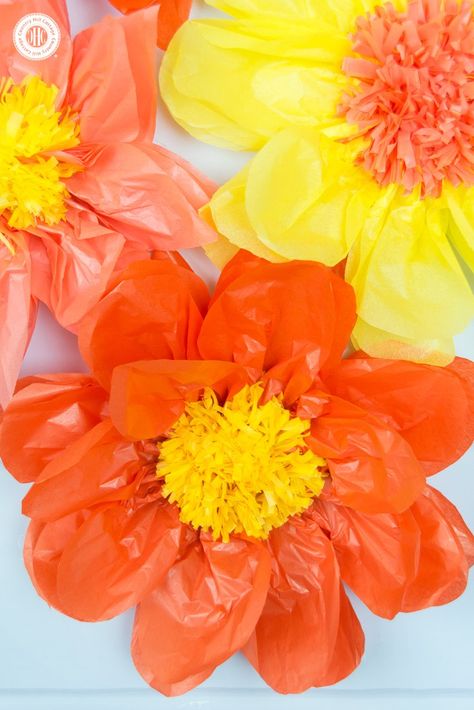 Learn how to make giant tissue paper flowers! You can create the flowers in any colour of the rainbow and use them to decorate your home, build a flower wall or show them off at your next part! #diy #paperflowers #tissuepaper #paperroses | countryhillcottage.com Diy Flower Power Decorations, Diy Large Flowers How To Make, Large Tissue Paper Flowers Diy Easy, Big Tissue Paper Flowers Diy, Giant Tissue Paper Flowers Diy Tutorials, Huge Tissue Paper Flowers, Large Tissue Paper Flowers Diy, Giant Tissue Paper Flowers Diy, Diy Large Flowers