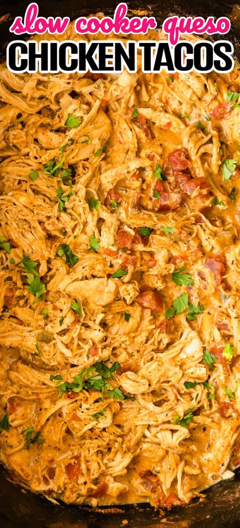 Cheesy Chicken Fajitas Crockpot, Cheesy Chicken Tacos Crockpot, Slow Cooker Cheesy Chicken Tacos, Crockpot Queso Chicken Quesadillas, Queso Chicken Tacos Crockpot, Shredded Chicken Fajitas Crockpot, Chicken Queso Tacos Crockpot, Crockpot Recipes Chicken Tacos, Slow Cooker Mexican Shredded Chicken