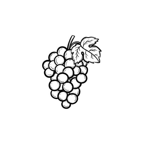 Grapes Sketch, Flute Drawing, Grape Drawing, E.t Tattoo, Wine Icon, Sketch Background, Fruit Icons, Bunch Of Grapes, Doodle Icon