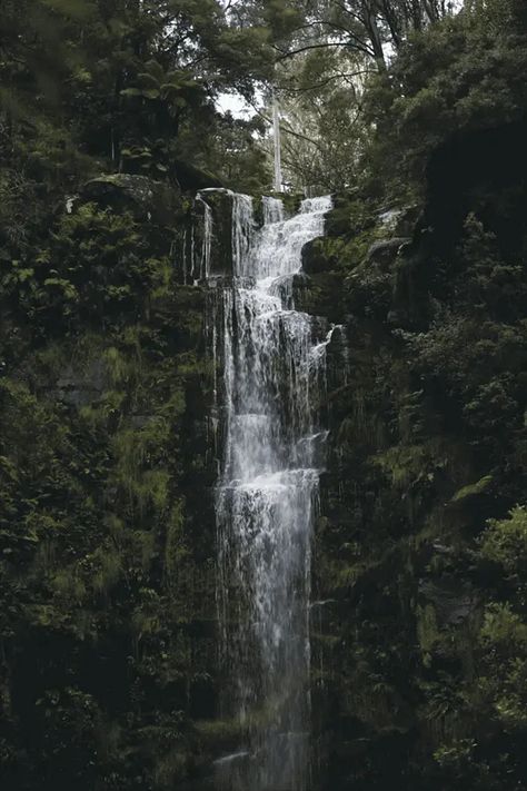 Dark Naturalism, Dark Forest Aesthetic, Forest Waterfall, Image Nature, Take Better Photos, Beautiful Waterfalls, Perfect World, Dark Forest, Nature Aesthetic