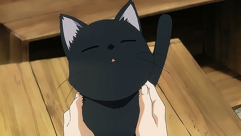 As I look back at past together with her,suddenly she starts to disap… #random #Random #amreading #books #wattpad Flying Witch Anime, Witch Gif, Black Cat Aesthetic, Flying Witch, Anime Gifs, Banner Gif, Retro Cats, Anime Animals, Cartoon Gifs