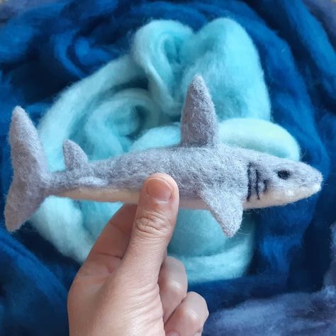 Shark. Handmade. Needle felted. Wool. Waldorf. Homeschool. Toy. Shark Needle Felt, Needle Felting Shark, Needle Felted Lobster, Needle Felt Shark, Needle Felted Shark, Shark Felt, Fun Facts About Sharks, Ocean Animals Preschool, Felt Critters