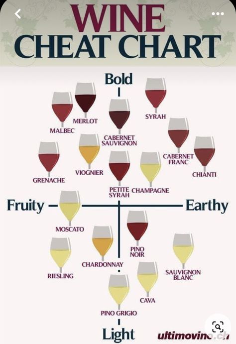 Wine Basics, Wine Chart, Wine Facts, Wine Flavors, Wine Knowledge, Food Pairing, Wine Guide, Wine Food Pairing, Wine Food