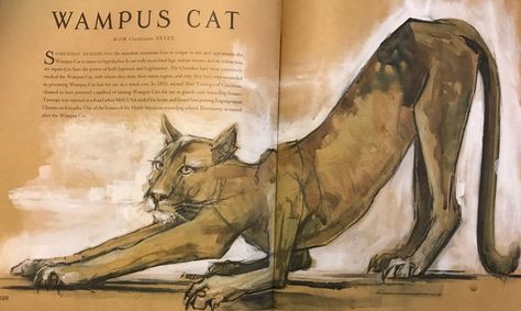 Wampus Wampus Cat, Fanart Ideas, Cat Drawings, Mythical Beast, Paranormal Activity, Mythological Creatures, Creature Concept Art, Creature Concept, Fairy Land