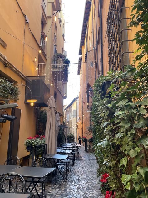 #bologna #italy #italian #allyway #cafe #europe #eurosummer #photography #aesthetic #inspo #inspiration #photoinspo #travel #flowers #plants #vines #fairylights Bologna Italy Photography, Ally Way, Plants Vines, Bologna Italy, Italy Photography, Photography Aesthetic, Flowers Plants, Bologna, Fairy Lights