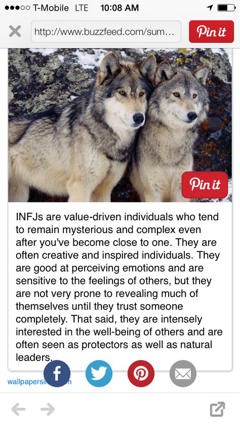 " The Wolf " INFJ animal characteristic Wolf Personality, Infj Humor, Infj Psychology, Introvert Personality, Infj Type, Infj Mbti, Infj Personality Type, Infp Personality, Myers Briggs Personality Types