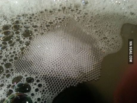 Bubbles so uniform that it's almost sexy Trypophobia Pictures, Satisfying Photos, Royal Photography, Oddly Satisfying Videos, Soap Bubbles, New Funny Videos, Oddly Satisfying, Satisfying Video, Funny Animal Memes