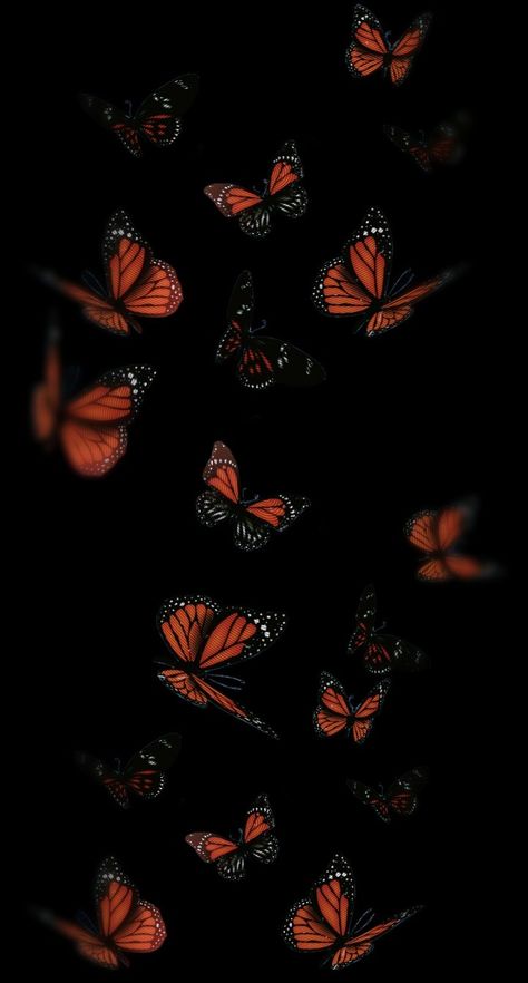 Dark Rock Aesthetic, Dark Butterfly Wallpaper, Black Screen Wallpapers, Asthetics Photos Wallpaper, Butterfly Lockscreen, Butterfly Iphone Wallpaper, Black And Purple Wallpaper, Blue Roses Wallpaper, Glitter Phone Wallpaper