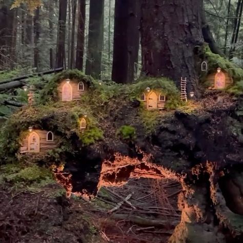 Maryinthefairyland | Here is a short DIY video of the Fairy Door Village. A longer version is available on my YouTube channel: https://youtu.be/F0qpDbVZOYw You... | Instagram