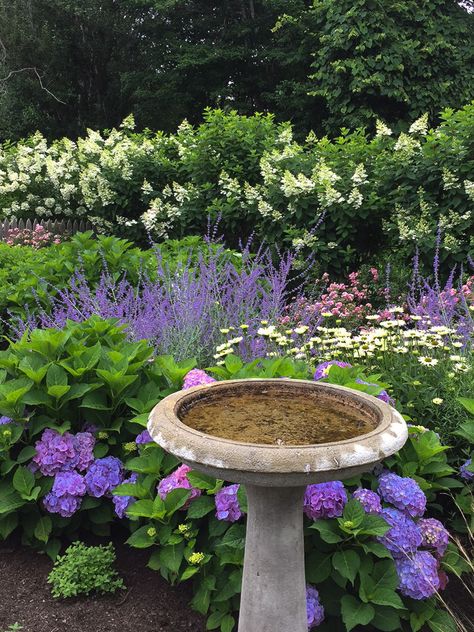 Garden Rockery, Lambs Ears, Dream Garden Backyards, Front Lawn Landscaping, River Rock Garden, Backyard Covered Patios, Drought Tolerant Garden, Prairie Garden, Creeping Jenny