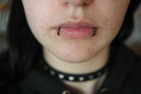 Snake Bite Piercing Lips, Snake Bites Piercing, Piercing Snake, Inner Ear Piercing, Ant Bites, Snake Bite Piercing, Fake Lips, Snake Bite, Mod Jewelry