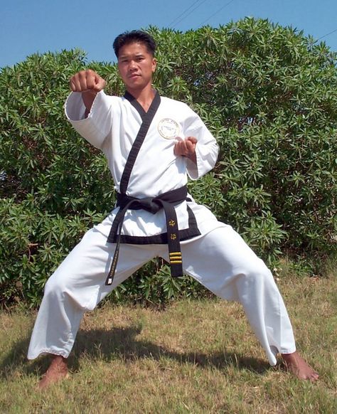 List of Tang Soo Do Forms (with Video  Written Instructions) - Black Belt Wiki Martial Arts Books, Herman Hesse, Tang Soo Do, Best Martial Arts, Martial Arts Techniques, Hapkido, Home Exercise Routines, Glutes Workout, Workout For Beginners