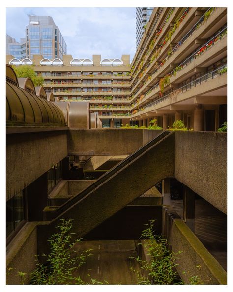 Been trying new post layouts, what do you think? These shots were all taken at the Barbican centre, sadly the inside was closed for renovations. #barbican #londonclassics #localplaces #outinlondon #stademagazine Built Environment Photography, Barbican Centre London, The Barbican London, Poetic Documentary, Urban Scenery, Barbican Conservatory, Barbican London, Tropical Modernism, London Locations