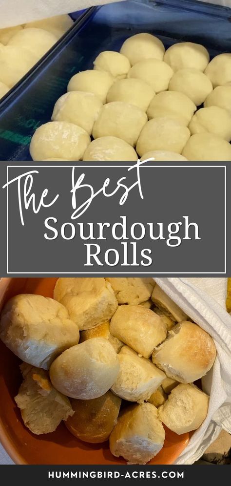 Dinner Rolls Recipe Easy, Homestyle Recipes, Soft Sourdough Bread, Family Recipies, Sourdough Dinner, Sourdough Starters, Sourdough Dinner Rolls, Rolls Recipe Easy, Dinner Rolls Easy