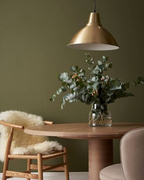 Porter's Paints on Instagram: “Our sophisticated 'Timberline' is soft yet confident, making a lovely colour choice in any living space. ​. ​. ​. ​#porterspaints #porters…” Porter Paint Colors, Khaki Walls, Olive Green Bedrooms, Olive Green Walls, Porter Paint, Stone Paint, Green Home Decor, Living Room Green, Green Interiors