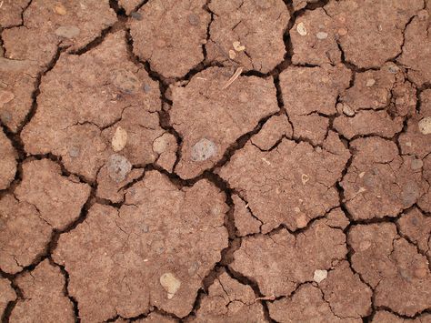 dried mud - tessellation in nature Fibonacci In Nature, Pattern In Nature, Tessellation Patterns, Patterns In Nature, In Nature, Earth Tones, Dog Food Recipes, Food Animals, Pattern