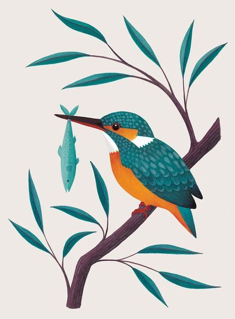 Laura Middleton Illustration - Kingfisher Kingfisher Bird Drawing, Bird Illustration Design, Kingfisher Drawing, Kingfisher Illustration, Kingfisher Painting, Kingfisher Art, Birds Illustration, 동화 삽화, Kingfisher Bird