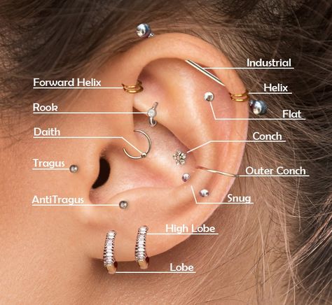 Ear Piercing Ideas Chart Names, Types Of Ear Piercings Chart, Helix Piercing Ideas, Ear Piercing Names, Top Ear Piercing, Different Ear Piercings, Unique Ear Piercings, Ear Peircings, Ear Piercings Chart