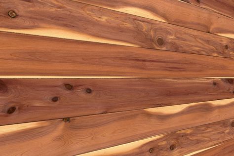 Wall Paneling - Decorative Print Collection - Western Red Cedar / 5.7" x 8' x 9.5mm Cedar Shiplap Wall, Cedar Shiplap, Camper Remodeling, Beadboard Wainscoting, Cedar Paneling, Cedar Walls, Chair Rail Molding, Red Cedar Wood, Basement Makeover