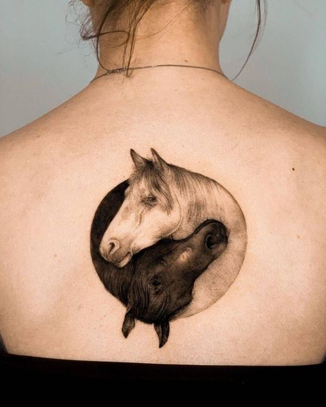 Black and white horse tattoo White Horse Tattoo, Black Horse Tattoo, Tattoos On Back, Horse Tattoos, Black And White Horse, Horse Tattoo Design, Horse Black, Horse Tattoo, Black Horse