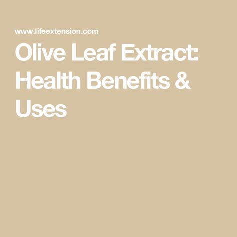 Olive Leaf Extract: Health Benefits & Uses Benefits Of Olive Leaf Extract, Olive Leaf Extract Benefits, Olive Leaf Benefits, Olive Leaf Extract, Herbal Remedies Recipes, Great Health, Uric Acid, Ldl Cholesterol, Olive Leaf