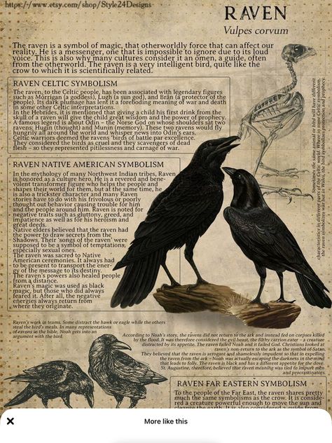 Raven Animal, Raven Spirit Animal, Mystical Creatures Mythology, Ornate Books, Spirit Animal Totem, Myths & Monsters, Monster Craft, Spiritual People, Animal Spirit Guides