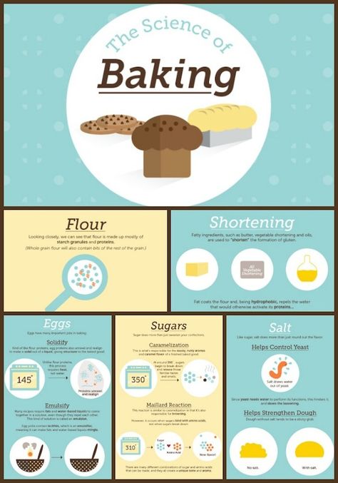 The Science of Baking by Shari's Berries Collage Science Behind Baking, Basics Of Baking, Baking Basics For Beginners, Science Of Cooking, Baking Class Ideas, Science Of Baking, Cooking Science, Cooking Knowledge, Baking Tricks