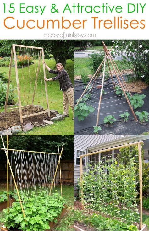 How To Grow Cucumbers Vertically, Diy Trellis For Cucumbers, Trellis For Cucumbers, Cucumbers In Pots, Grow Cucumbers Vertically, Propagate Hydrangea, Cucumber Trellis Ideas, Hydrangea Cuttings, Teepee Trellis