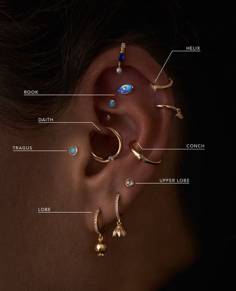 Ušný Piercing, Bijoux Piercing Septum, Minimalist Ear Piercings, Different Ear Piercings, Unique Ear Piercings, Ear Peircings, Ear Piercings Chart, Piercing Chart, Types Of Ear Piercings