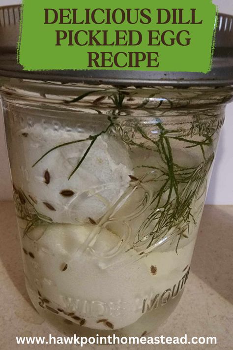 This dill pickled egg recipe is so easy to make and results in a tasty, healthy protein-packed snack. It is also great because pickled eggs can be made plain or with different flavors. This dill pickled egg recipe results in a tangy and delicious treat! Shelf Stable Pickled Eggs Recipe, Dill Pickled Eggs, Picking Eggs, Old Fashioned Pickled Eggs Recipe, Blueberry Jalapeno Jelly Recipe, Pickle Eggs, Spicy Pickled Eggs, Eggs Pickled, Jalapeno Jelly Recipes