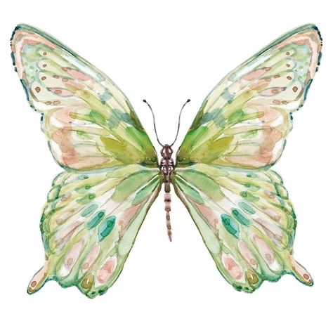 Soft Wings I Poster Print by Carol Robinson-VARPDX40092 Image 1 Green Watercolor Art, Canva Designs Aesthetic, Art Prints For Walls Aesthetic, Room Posters To Print, Trendy Poster Prints, Cute Dorm Posters, Simple Prints For Walls, Wall Prints Butterfly, Pastel Poster Prints