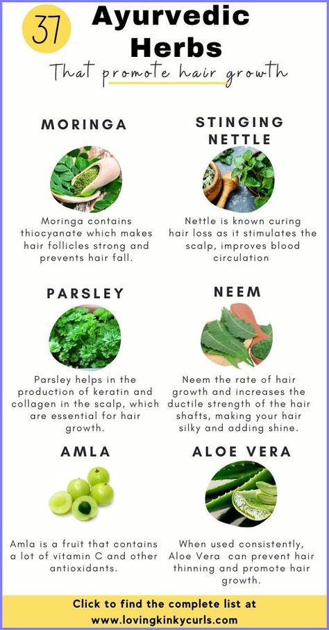 Herbs For Hair Growth, Ayurvedic Hair Care, Herbs For Hair, Prevent Hair Fall, Ayurvedic Healing, Stinging Nettle, Ayurvedic Hair, Plant Nutrients, Herbs For Health