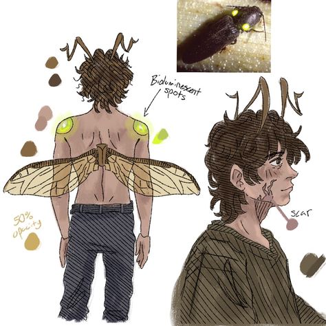 Bug People Art, Bugs As Humans, Cockroach Character Design, Bug Oc Design, Beetle Character Design, Deer Hybrid Human, Bug Person, Insect Oc, Beetle Character